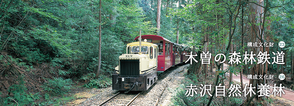 23王滝森林鉄道26赤沢自然休養林