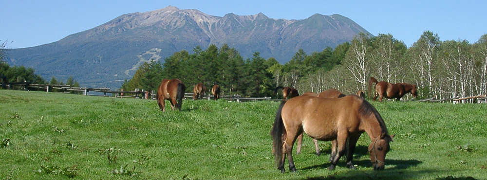 木曽馬と御嶽山（木曽町）