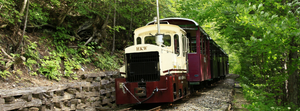 Akasawa Natural Recreational Forest (Agematsu Town)
