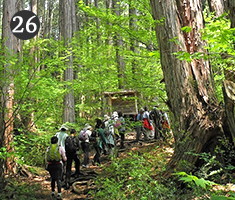 26.Akasawa Natural Recreational Forest