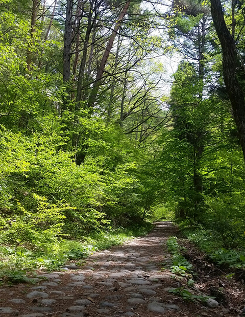 石畳が続く山道