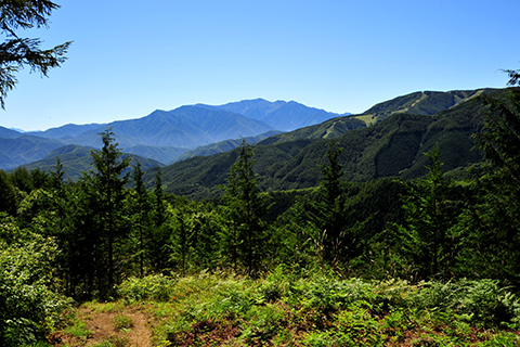 展望台遠景