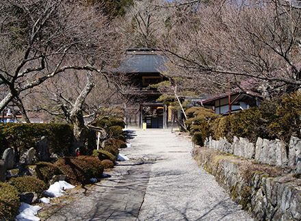 徳音寺