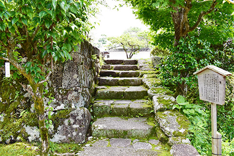 藤村記念館は緑に包まれている