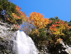 Shintaki Falls