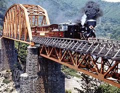 Otaki Forest Railway　