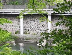 Kisonokakehashi Cliff Bridge